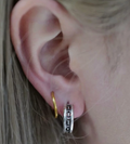 HB075  Chassis Earrings