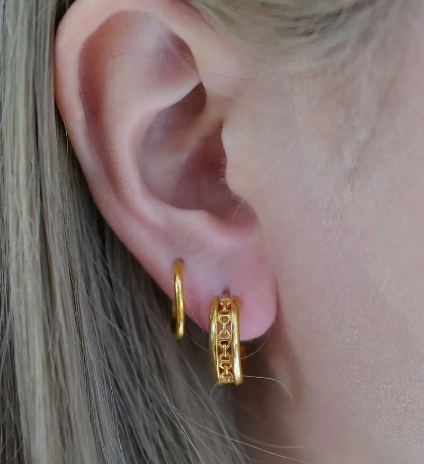 HB075  Chassis Earrings