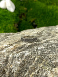 Double Hex Ring