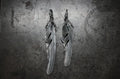 FCT-80 eagle leg+1st feather top