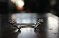 FCB-18 two horse bangle