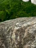 Concho Pierce