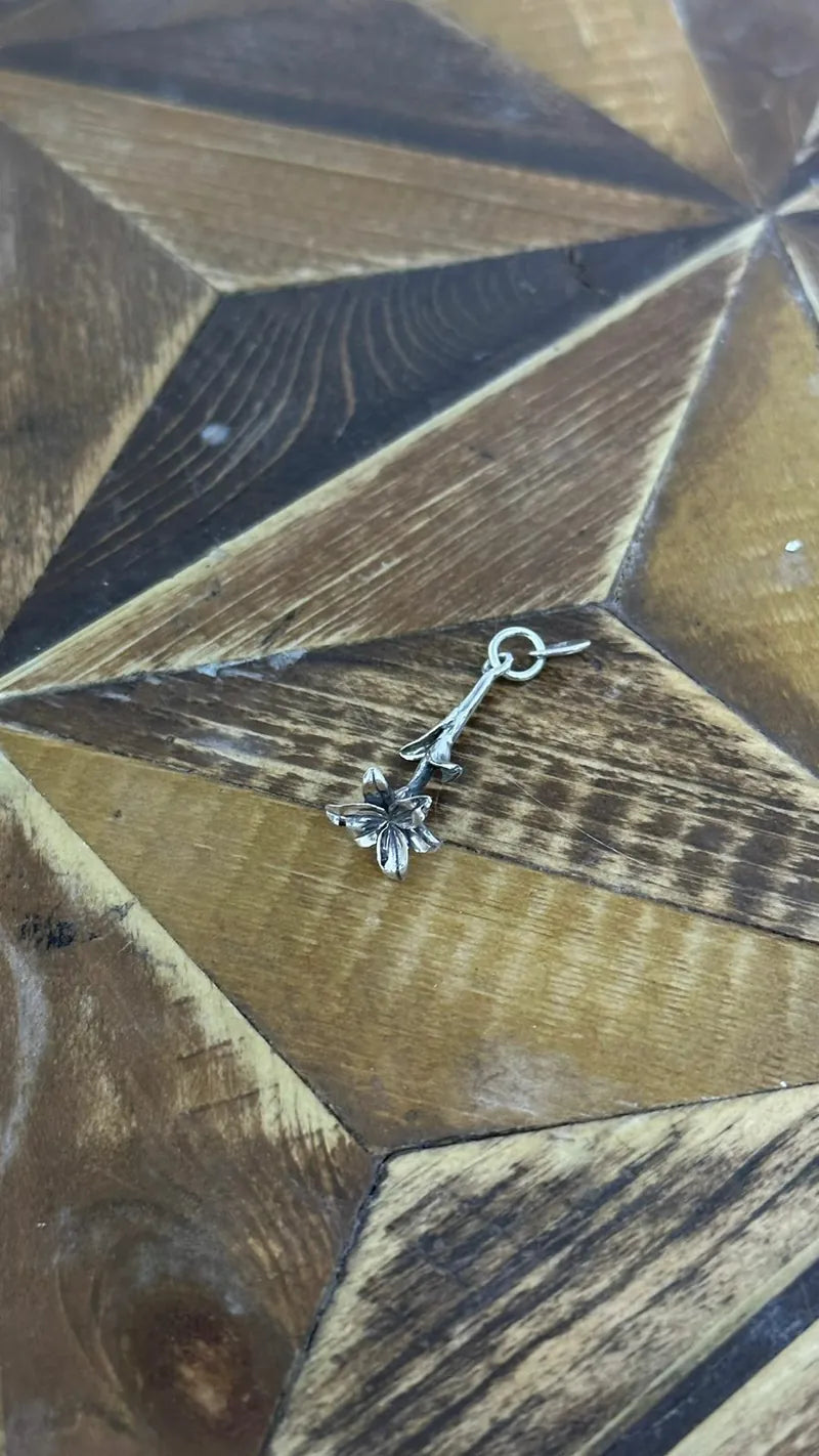 SV Lily Pendan