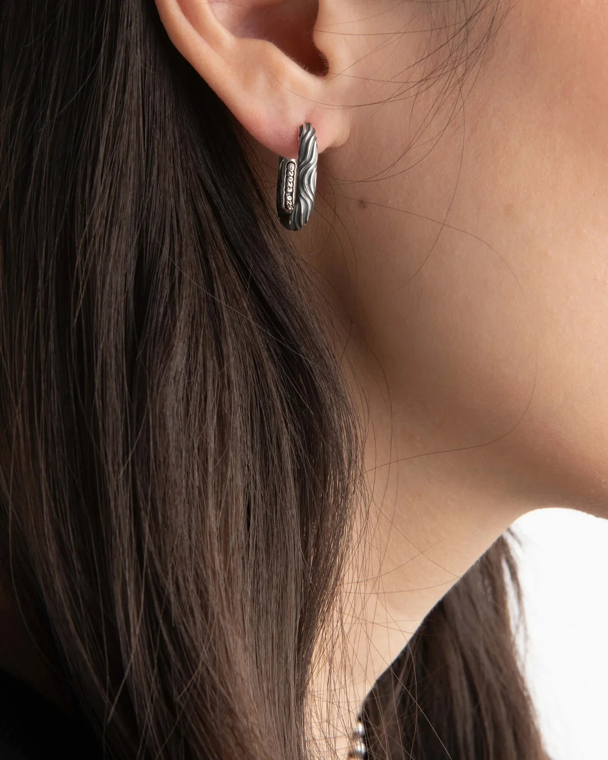 Model 22 A Earring - Desert Sessions